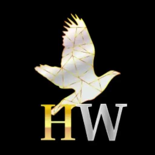 HIBIKIWIN - Balapan Seru dan Menantang di Jalanan